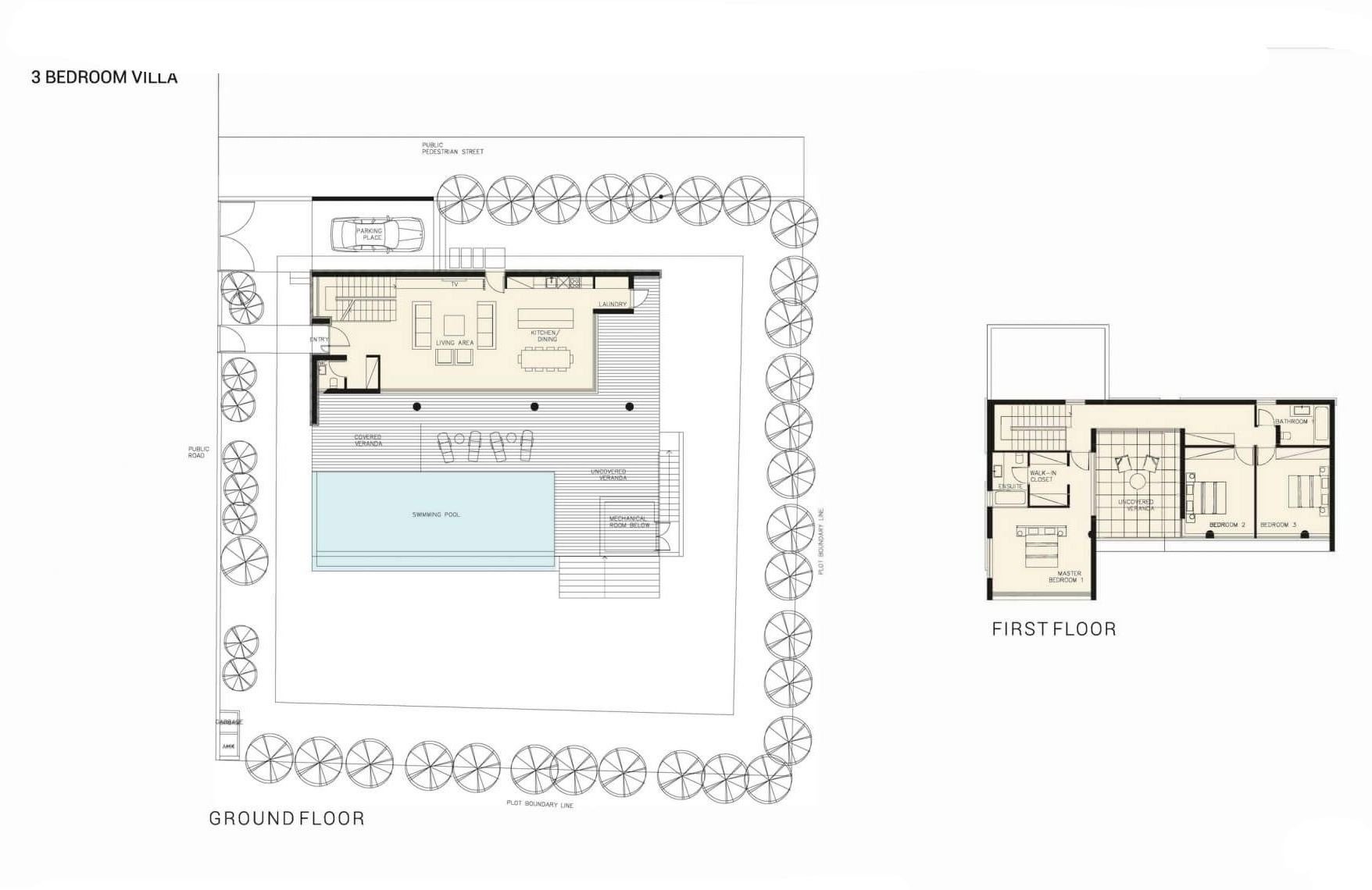 3 BR Villa in Pegeia, Paphos photo 5