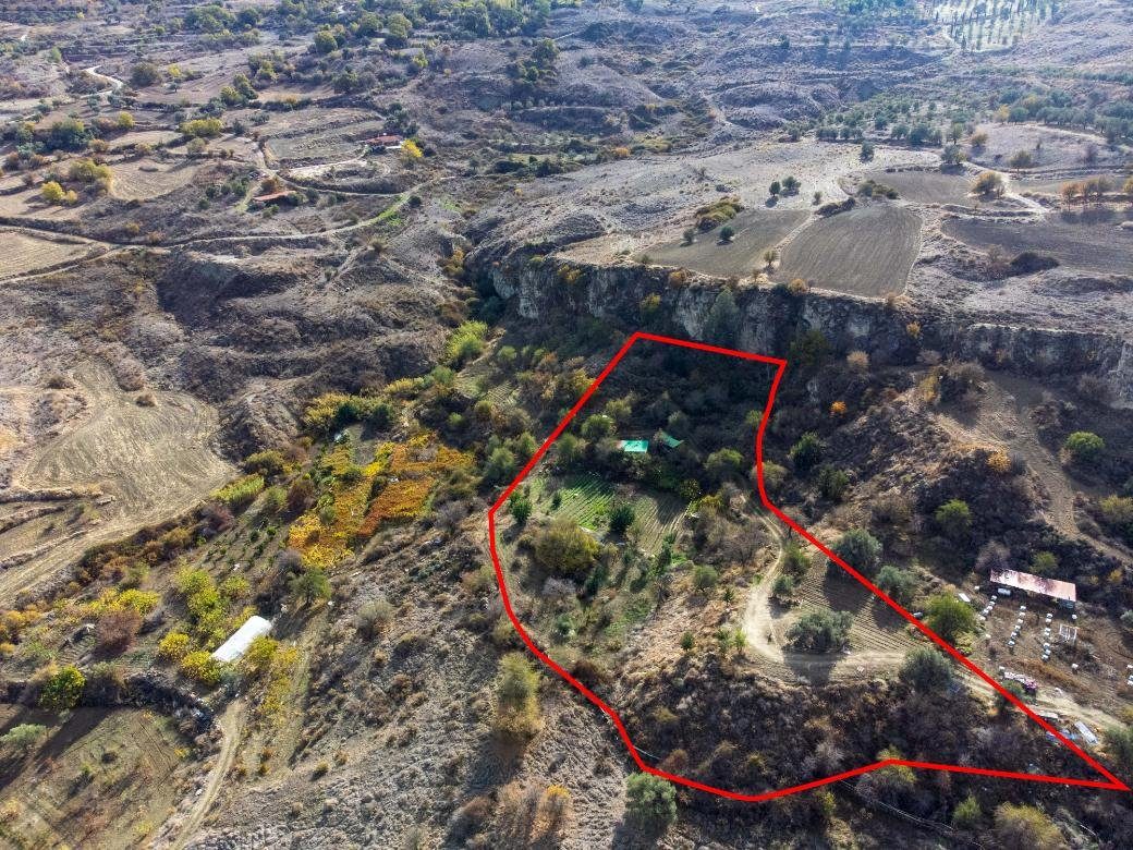 Shared agricultural field in Lasa, Paphos photo 2