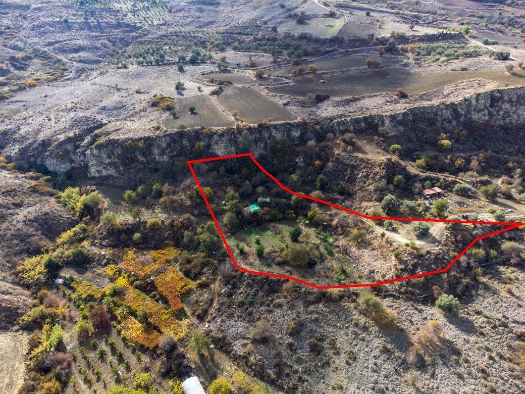 Shared agricultural field in Lasa, Paphos photo 1