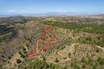 Agricultural field in Xyliatos, Nicosia thumbnail 1