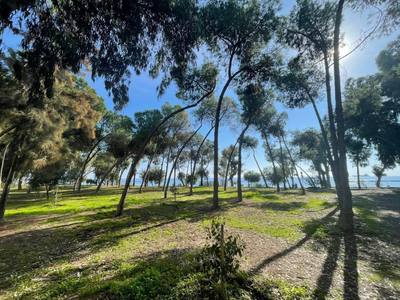 3 BR Apartment in Germasogeia, Limassol thumbnail 11
