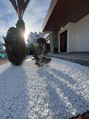 Fully renovated Office in Agios Georgios, Limassol thumbnail 30