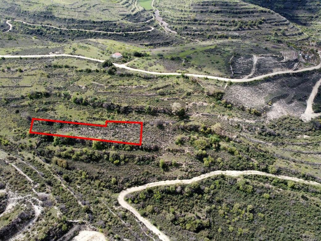 Field in Potamiou, Limassol photo 1