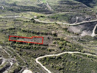 Field in Potamiou, Limassol thumbnail 1