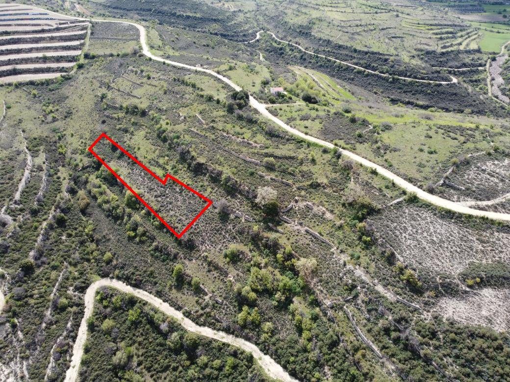 Field in Potamiou, Limassol photo 2