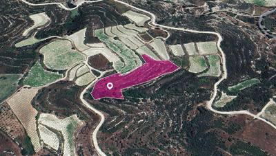 Agricultural Field in Koilani, Limassol thumbnail 1