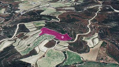 Agricultural Field in Koilani, Limassol thumbnail 2