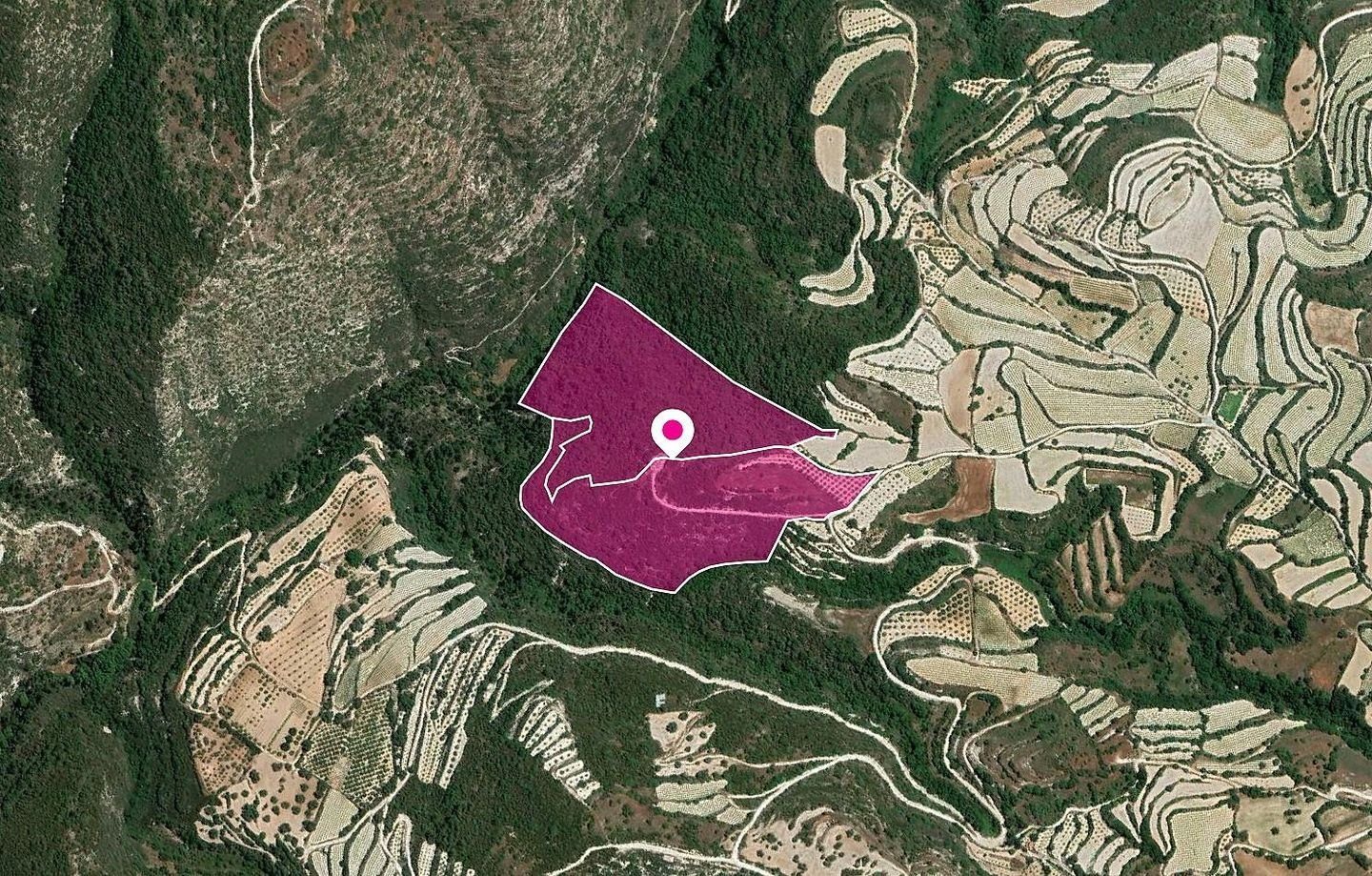 (Share) Agricultural Fields, Koili, Paphos photo 3