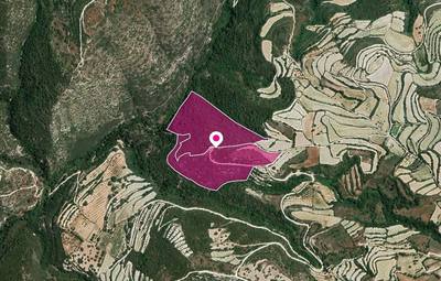 (Share) Agricultural Fields, Koili, Paphos thumbnail 3