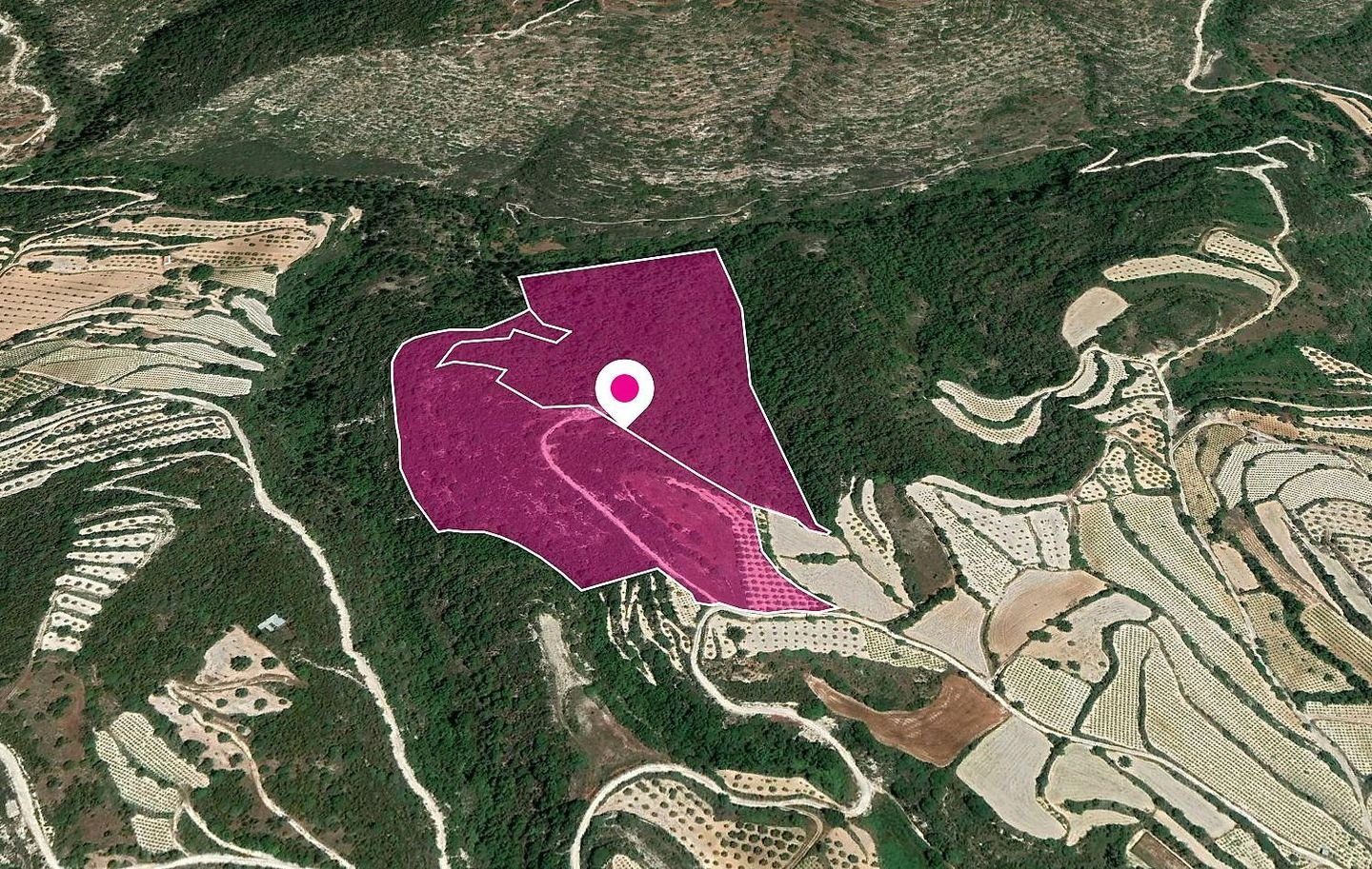 (Share) Agricultural Fields, Koili, Paphos photo 1