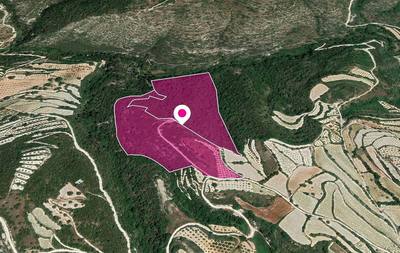 (Share) Agricultural Fields, Koili, Paphos thumbnail 1