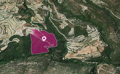 (Share) Agricultural Fields, Koili, Paphos thumbnail 2
