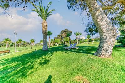 3 BR Apartment in Parekklisia, Limassol thumbnail 29