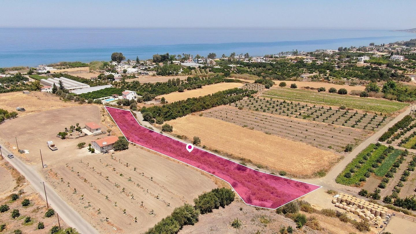 Field in Argaka, Paphos photo 4