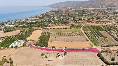 Field in Argaka, Paphos thumbnail 3