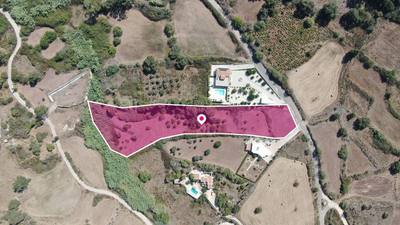 Touristic Field, Drouseia, Paphos thumbnail 3