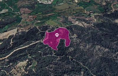(Share) Agricultural Field, Lysos, Paphos thumbnail 1