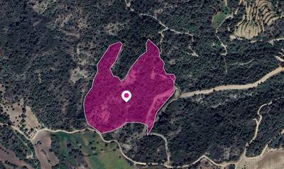 (Share) Agricultural Field, Lysos, Paphos thumbnail 2