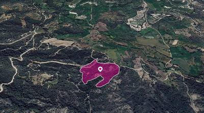 (Share) Agricultural Field, Lysos, Paphos thumbnail 3