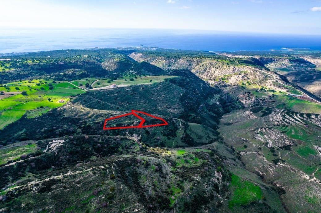 Agricultural fields in Pegeia, Paphos photo 1