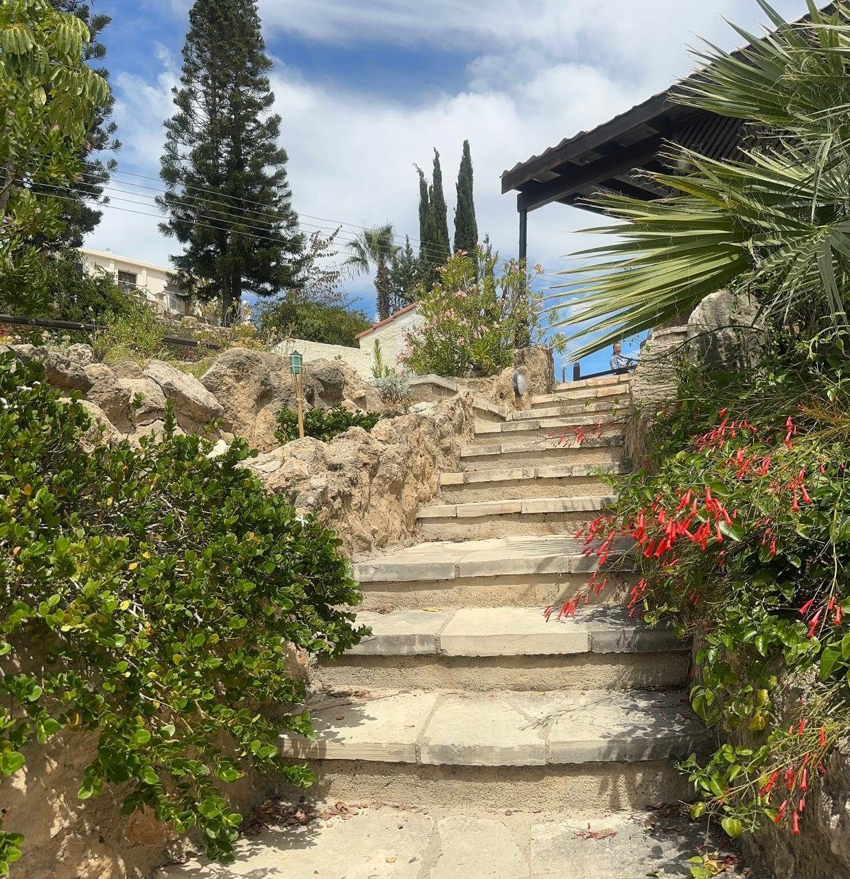 3 BR Bungalow in Tala, Paphos photo 12