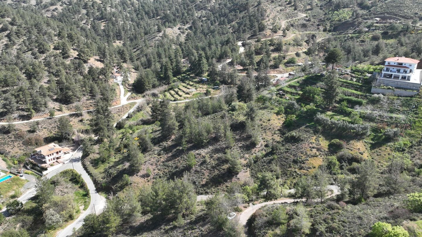 17% Distributed Share of a residential field,in Kakopetria, Nicosia photo 7