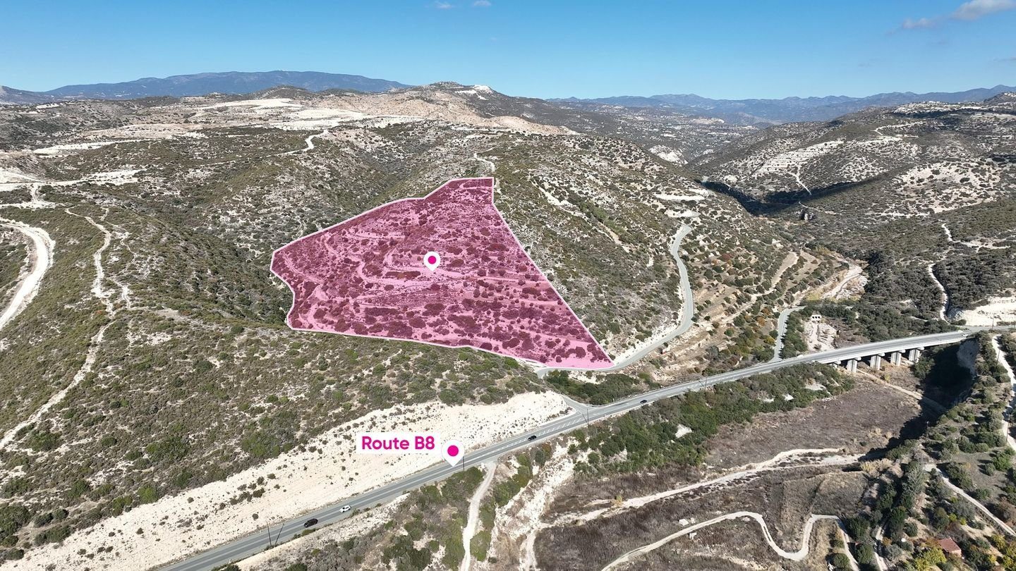 Special Protection Large - Field in Alassa, Limassol photo 3