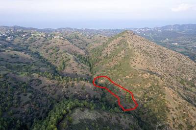 Shared agricultural field in Pigenia, Nicosia thumbnail 1