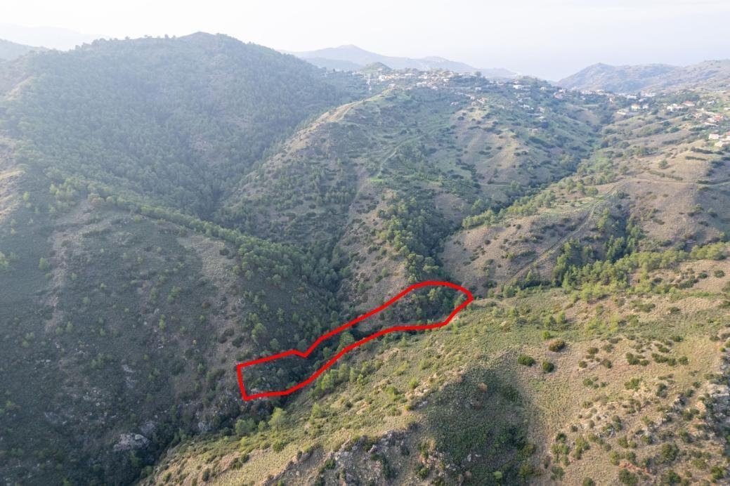 Shared agricultural field in Pigenia, Nicosia — photo 3