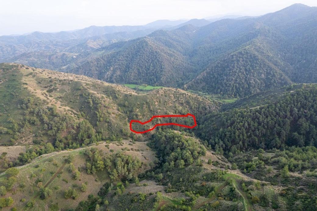 Shared agricultural field in Pigenia, Nicosia — photo 2