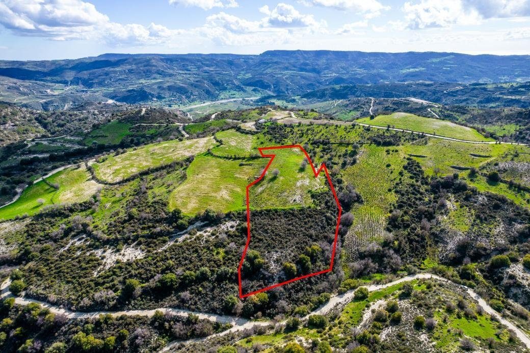 Shared agricultural field in Salamiou, Paphos photo 3