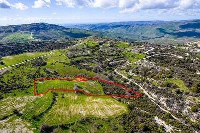 Shared agricultural field in Salamiou, Paphos thumbnail 2