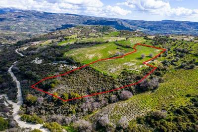 Shared agricultural field in Salamiou, Paphos thumbnail 1