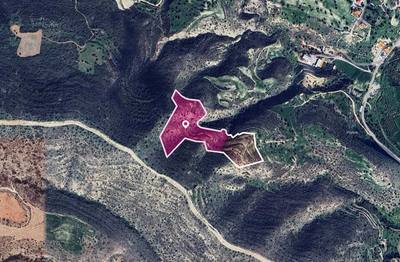 (Share) Agricultural Field in Agios Theodoros, Larnaca thumbnail 2