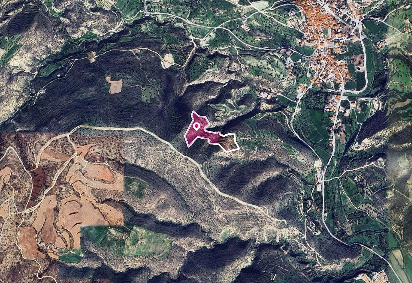 (Share) Agricultural Field in Agios Theodoros, Larnaca photo 3