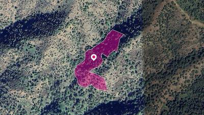 (Share) Field in Pomos, Paphos thumbnail 1