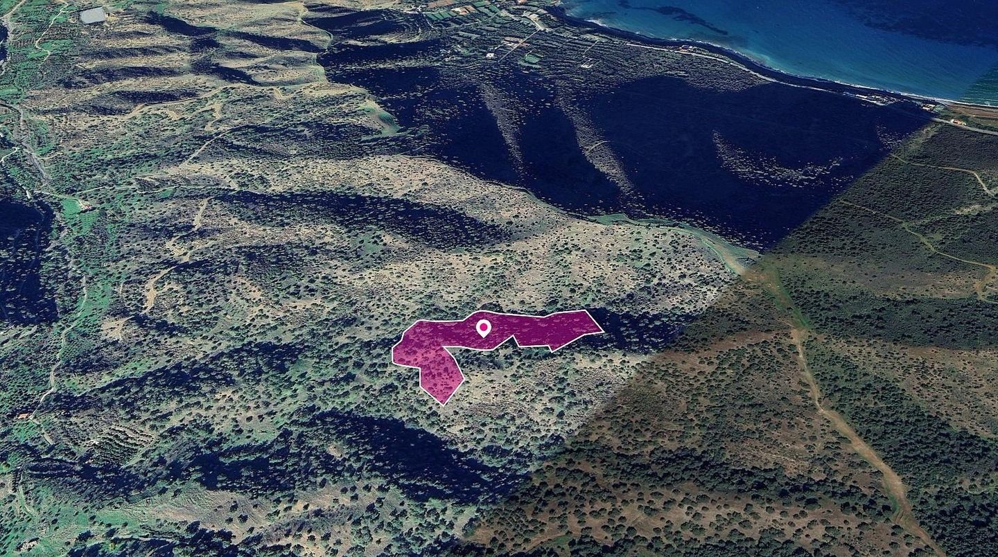 (Share) Field in Pomos, Paphos photo 3