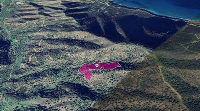 (Share) Field in Pomos, Paphos thumbnail 3