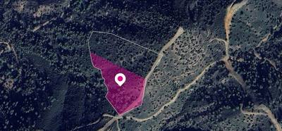 (Share) Field in Lythrodontas, Nicosia thumbnail 1