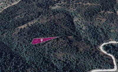 Two Fields in Kampos, Nicosia thumbnail 3