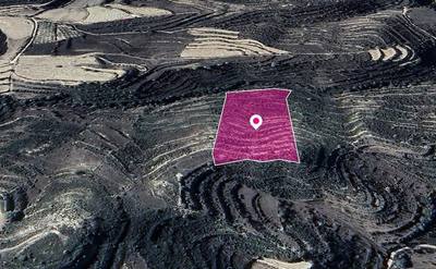 Agricultural Field in Pachna, Limassol thumbnail 3
