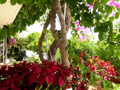 Office in Panthea, Limassol thumbnail 7