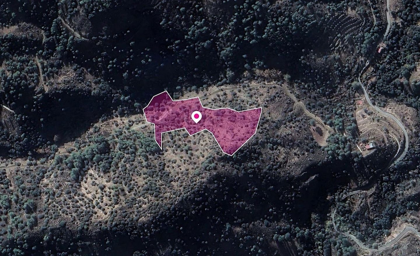 Field, Kaminaria, Limassol — photo 2