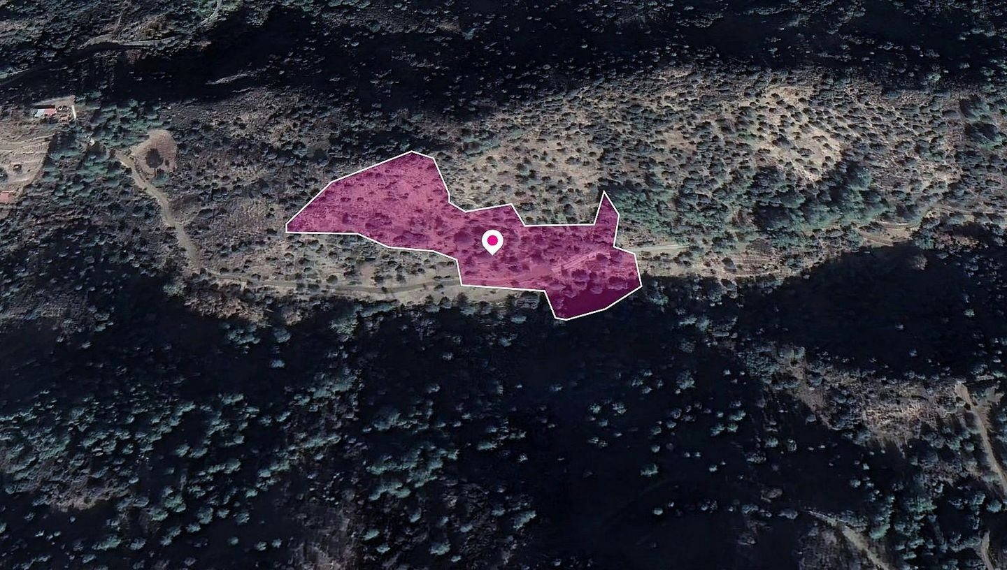 Field, Kaminaria, Limassol