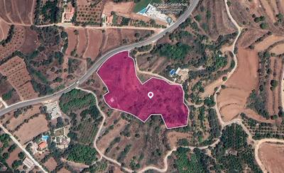 (Share) Field, Pomos, Paphos thumbnail 2