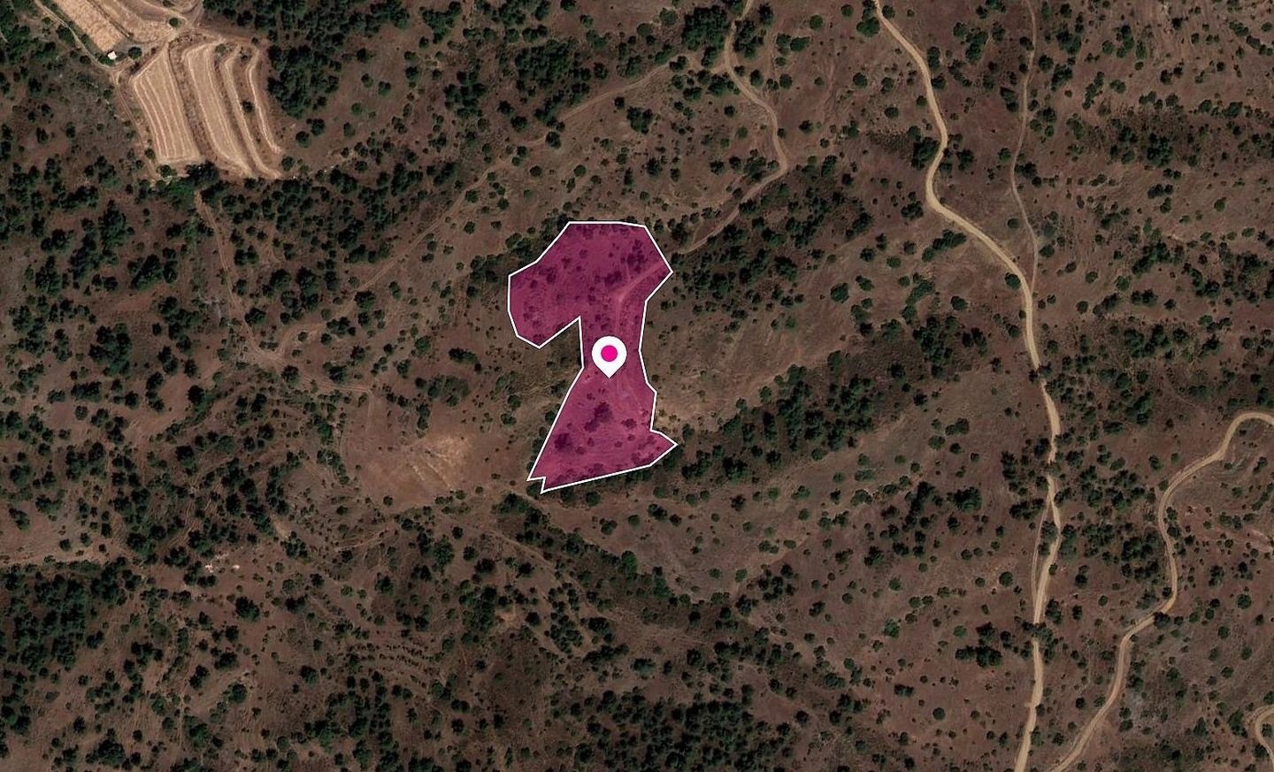Field in Gourri, Nicosia photo 2