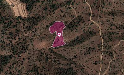 Field in Gourri, Nicosia thumbnail 2