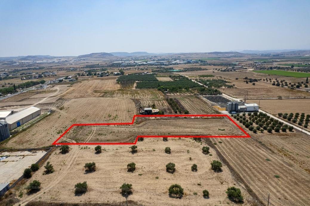 Residential field in Athienou, Larnaca — photo 4