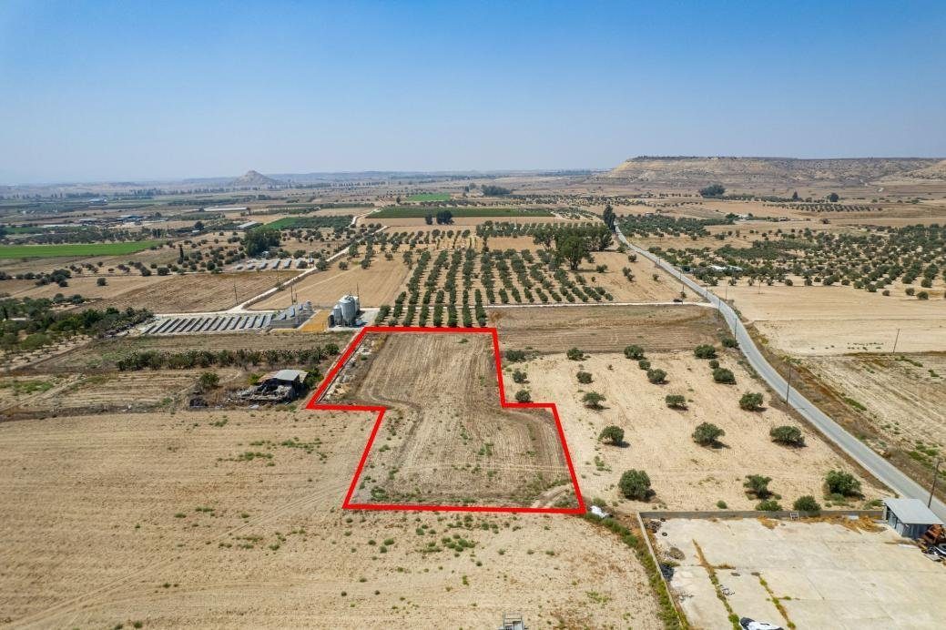 Residential field in Athienou, Larnaca — photo 3