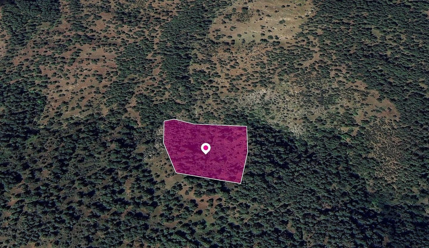 Agricultural Field in Pigenia, Nicosia — photo 3